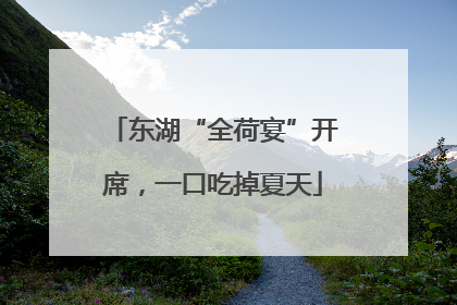 东湖“全荷宴”开席，一口吃掉夏天