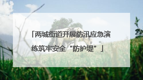 两城街道开展防汛应急演练筑牢安全“防护堤”