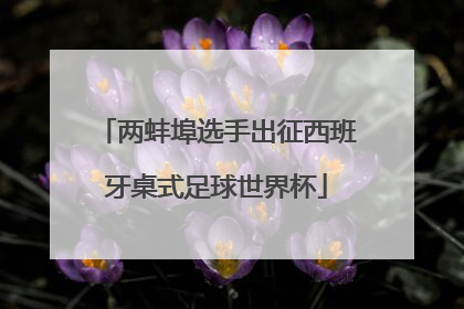 两蚌埠选手出征西班牙桌式足球世界杯