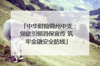 中华财险锦州中支：党建引领消保宣传 筑牢金融安全防线