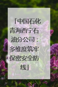 中国石化青海西宁石油分公司：多维度筑牢保密安全防线
