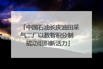 中国石油长庆油田采气二厂以数智积分制 撬动组织新活力