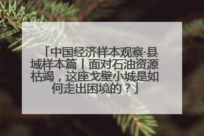中国经济样本观察·县域样本篇丨面对石油资源枯竭，这座戈壁小城是如何走出困境的？
