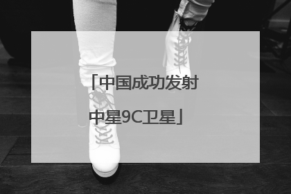中国成功发射中星9C卫星