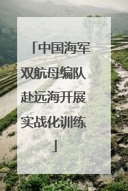 中国海军双航母编队赴远海开展实战化训练