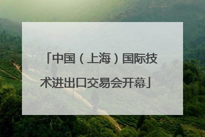 中国（上海）国际技术进出口交易会开幕