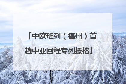 中欧班列（福州）首趟中亚回程专列抵榕