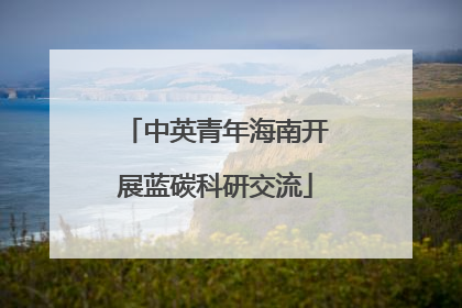中英青年海南开展蓝碳科研交流