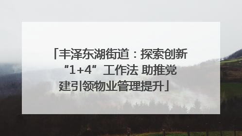 丰泽东湖街道：探索创新“1+4”工作法 助推党建引领物业管理提升