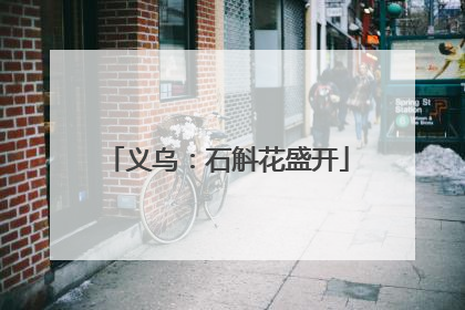 义乌：石斛花盛开
