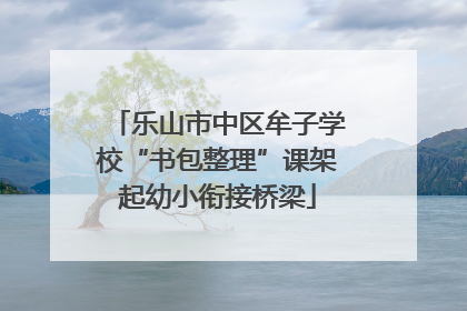 乐山市中区牟子学校“书包整理”课架起幼小衔接桥梁