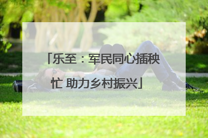 乐至：军民同心插秧忙 助力乡村振兴