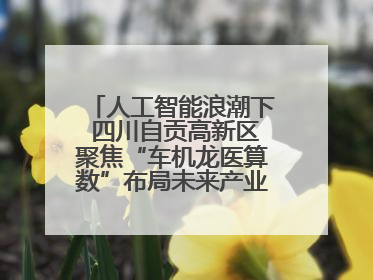 人工智能浪潮下 四川自贡高新区聚焦“车机龙医算数”布局未来产业丨美好生活有“盐”味