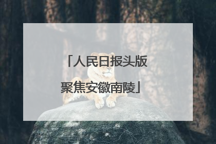 人民日报头版聚焦安徽南陵