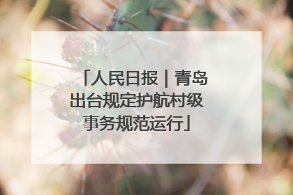 人民日报｜青岛出台规定护航村级事务规范运行