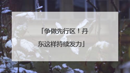 争做先行区！丹东这样持续发力