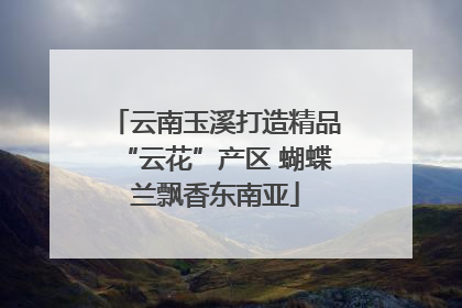 云南玉溪打造精品“云花”产区 蝴蝶兰飘香东南亚