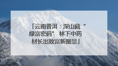 云南普洱：深山藏“绿富密码” 林下中药材长出致富新图景