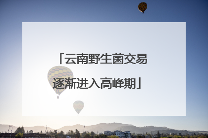 云南野生菌交易逐渐进入高峰期