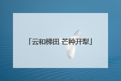 云和梯田 芒种开犁