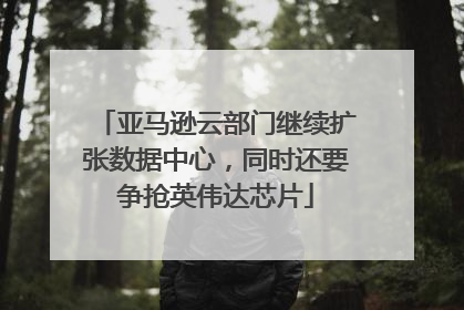 亚马逊云部门继续扩张数据中心，同时还要争抢英伟达芯片