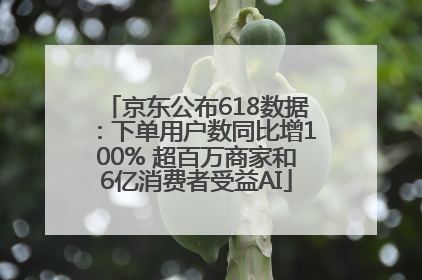 京东公布618数据：下单用户数同比增100% 超百万商家和6亿消费者受益AI