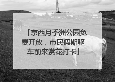 京西月季洲公园免费开放，市民假期驱车前来赏花打卡