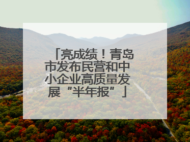 亮成绩！青岛市发布民营和中小企业高质量发展“半年报”