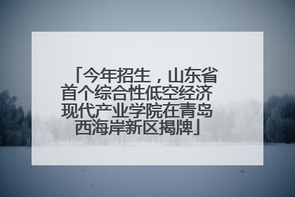今年招生，山东省首个综合性低空经济现代产业学院在青岛西海岸新区揭牌