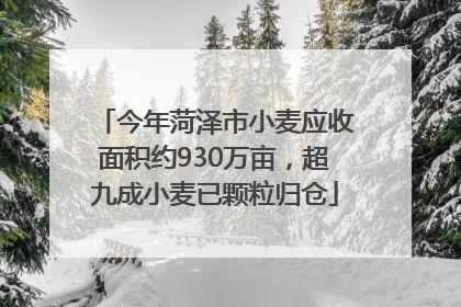 今年菏泽市小麦应收面积约930万亩，超九成小麦已颗粒归仓