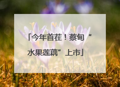 今年首茬！蔡甸“水果莲藕”上市