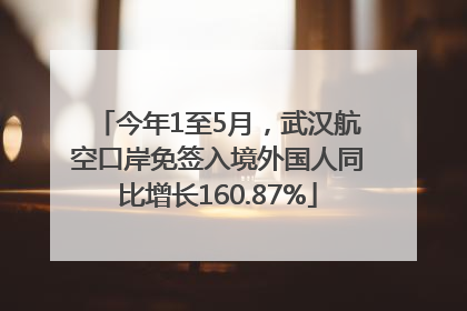 今年1至5月，武汉航空口岸免签入境外国人同比增长160.87%