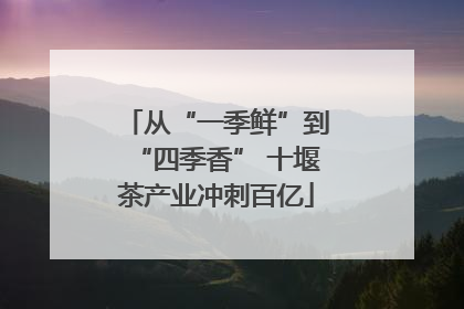 从“一季鲜”到“四季香” 十堰茶产业冲刺百亿