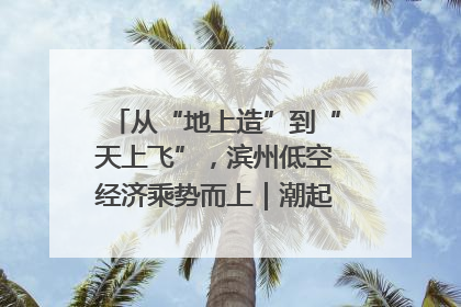 从“地上造”到“天上飞”，滨州低空经济乘势而上｜潮起渤海・网聚黄蓝