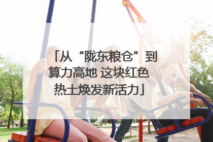从“陇东粮仓”到算力高地 这块红色热土焕发新活力