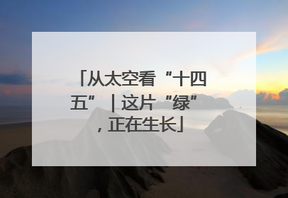 从太空看“十四五”｜这片“绿”，正在生长