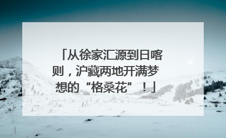 从徐家汇源到日喀则，沪藏两地开满梦想的“格桑花”！