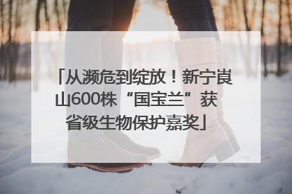 从濒危到绽放！新宁崀山600株“国宝兰”获省级生物保护嘉奖