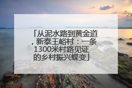 从泥水路到黄金道，新泰王峪村：一条1300米村路见证的乡村振兴蝶变