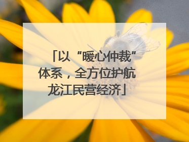 以“暖心仲裁”体系，全方位护航龙江民营经济