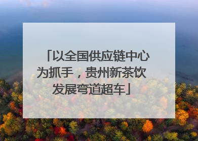 以全国供应链中心为抓手，贵州新茶饮发展弯道超车