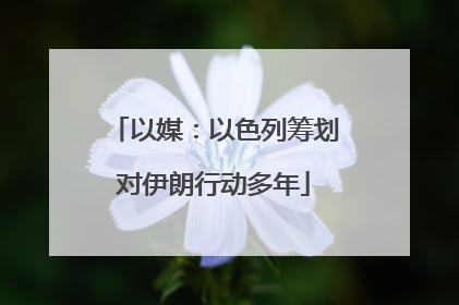 以媒：以色列筹划对伊朗行动多年