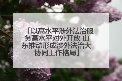 以高水平涉外法治服务高水平对外开放 山东推动形成涉外法治大协同工作格局