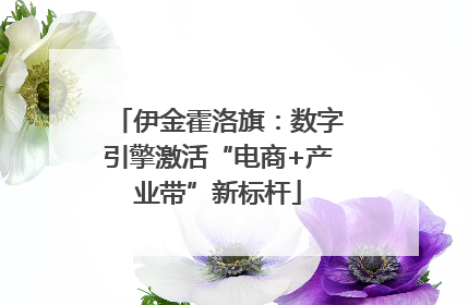 伊金霍洛旗：数字引擎激活“电商+产业带”新标杆