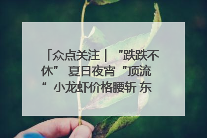 众点关注｜“跌跌不休” 夏日夜宵“顶流”小龙虾价格腰斩 东营人的快乐来了