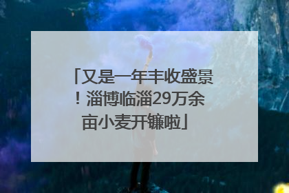 又是一年丰收盛景！淄博临淄29万余亩小麦开镰啦