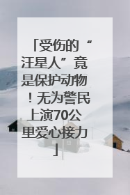 受伤的“汪星人”竟是保护动物！无为警民上演70公里爱心接力