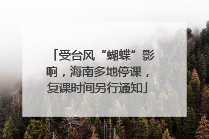 受台风“蝴蝶”影响，海南多地停课，复课时间另行通知