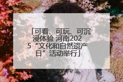 可看、可玩、可沉浸体验 河南2025“文化和自然遗产日”活动举行