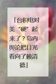 台积电对美“硬”起来了？岛内舆论把目光看向了赖清德